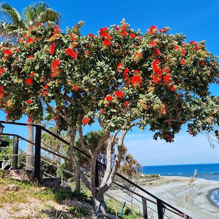 Astrofegia Beachfront Villa Pomos Dış mekan fotoğraf