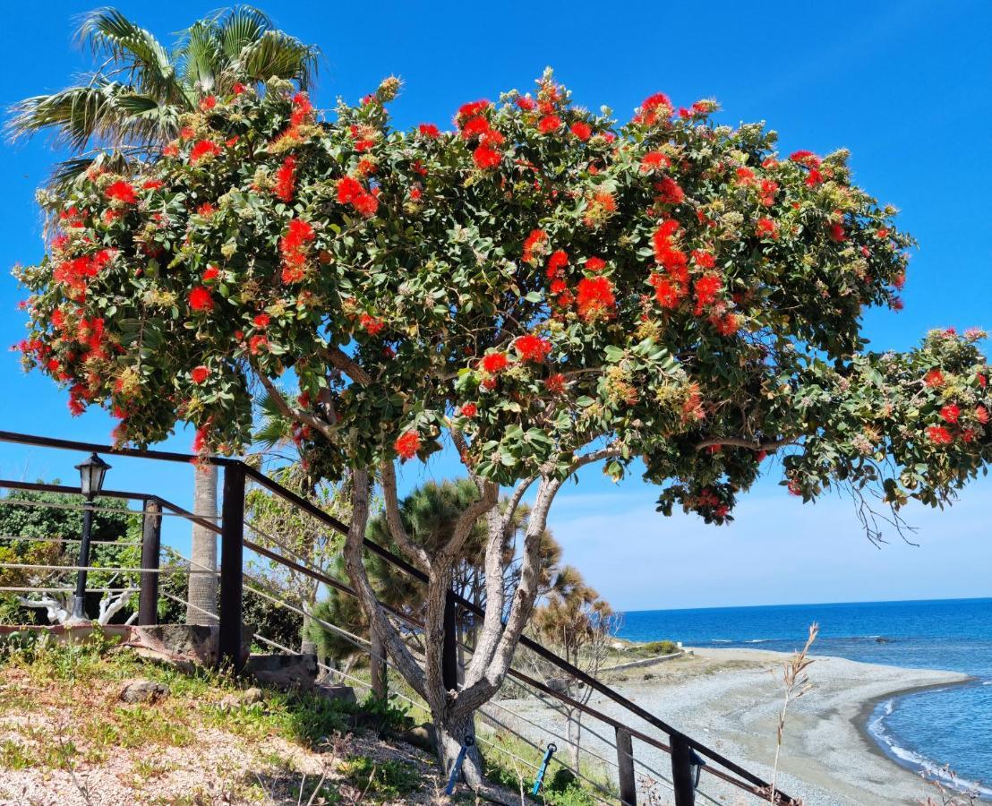 Astrofegia Beachfront Villa Pomos Dış mekan fotoğraf