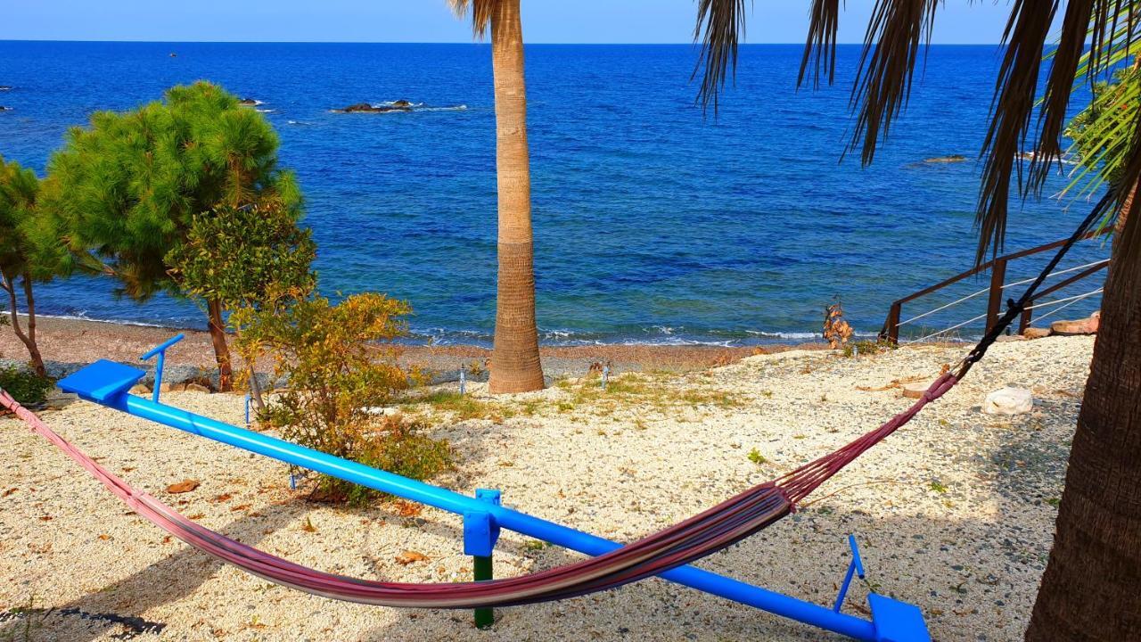 Astrofegia Beachfront Villa Pomos Dış mekan fotoğraf